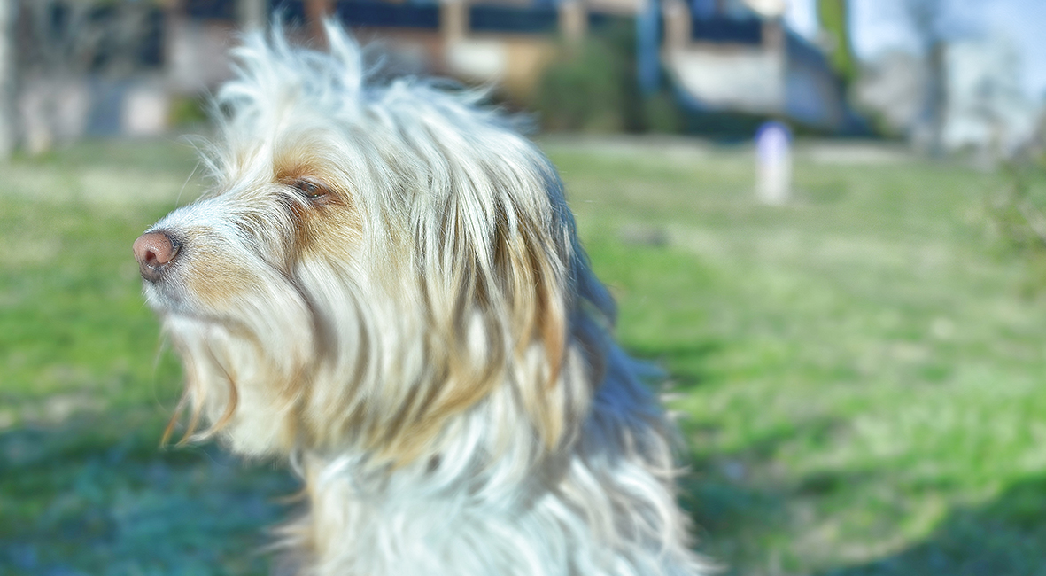 Fotografía Artística 10x5,5cm 14