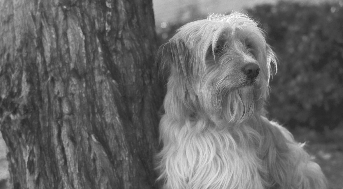 Fotografía Artística 10x5,5cm 16