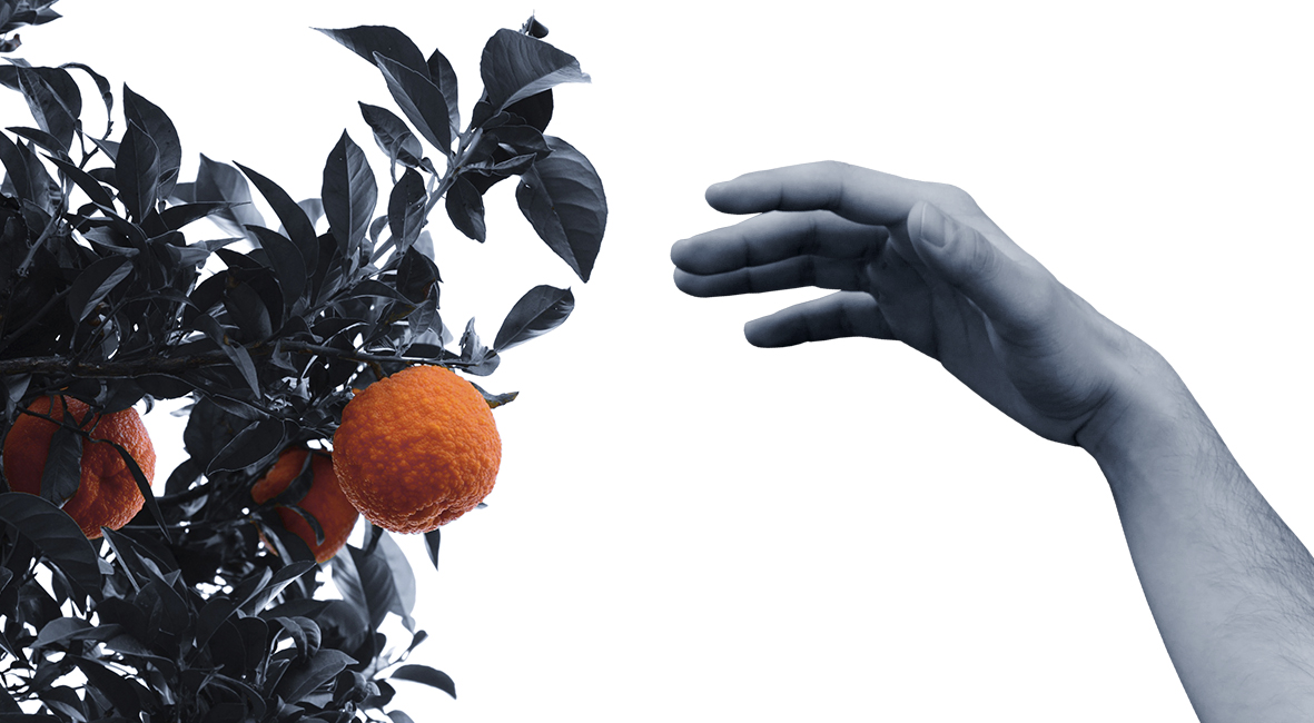 Fotografía Artística 10x5,5cm 7