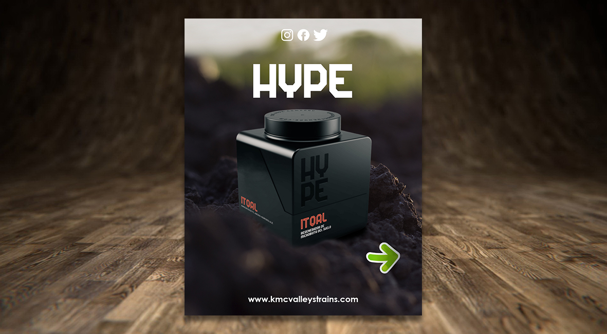 Plantilla Diseño Gráfico 10x5,5cm 10