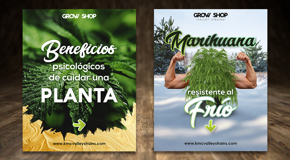 Plantilla Diseño Gráfico 10x5,5cm 9