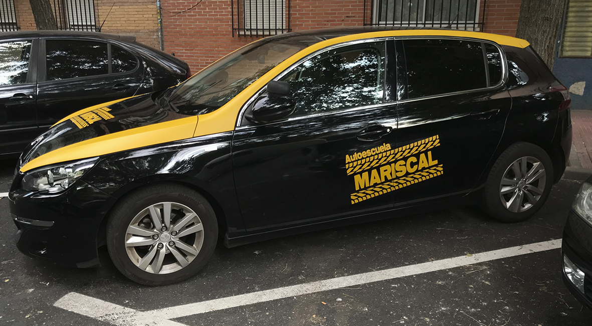 Registro Fotográfico 15