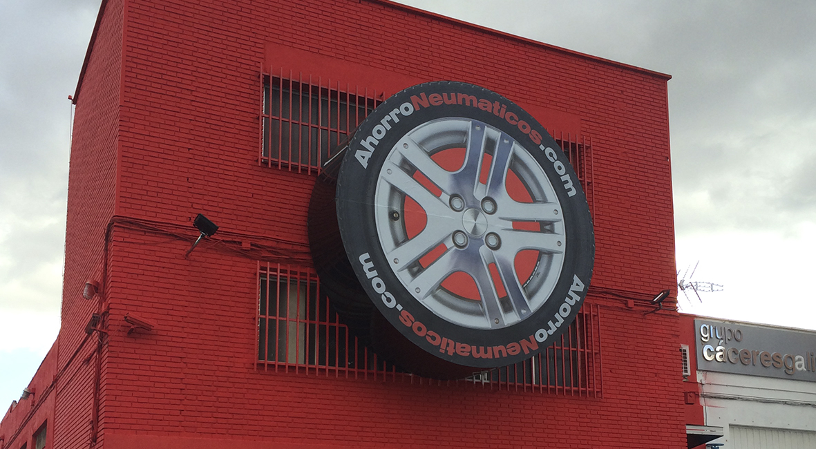 Registro Fotográfico 7